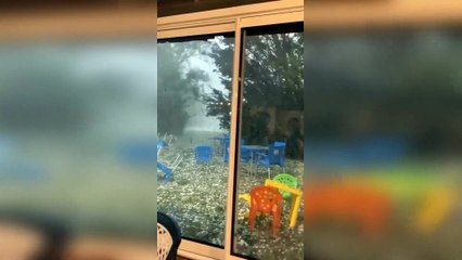 ⚠️A hailstorm in France has destroyed vineyards! There will be no wine! People are depressed!