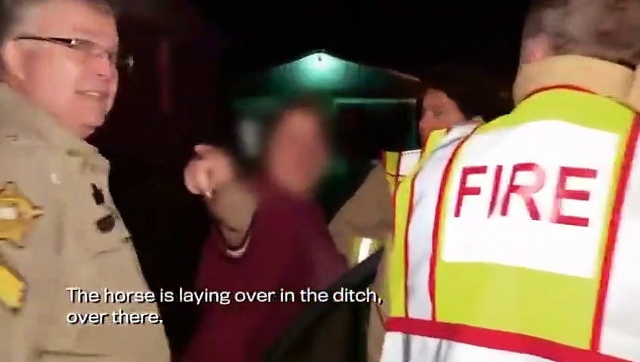 Live PD - Police Patrol - Se1 - Ep21 - Live PD - Police Patrol ^^120 HD Watch