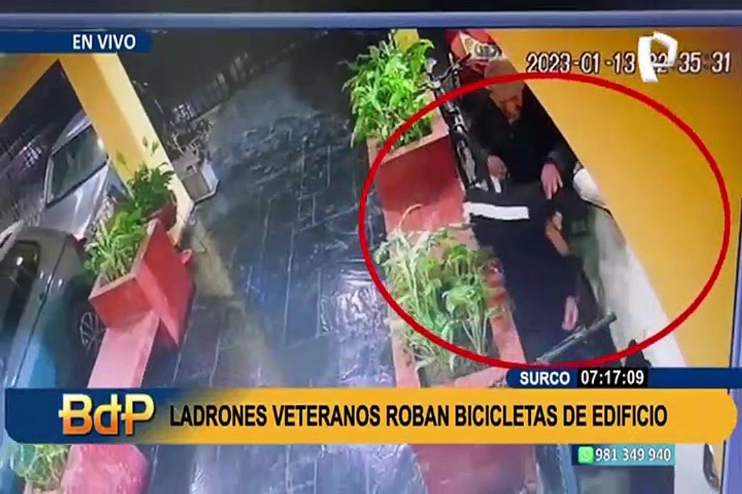 Surco: delincuentes mayores de edad son captados robando bicicletas valorizadas en S/5 mil