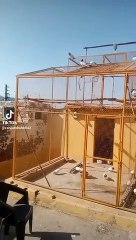 Pegions kabotar hayi falay pegions