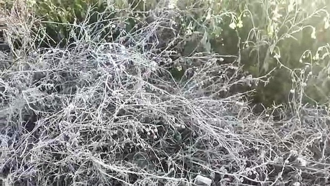 पारा पहुंचा '0' से नीचे, तापमान @ -1.4 डिग्री स...