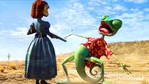 Rango le caméléon rencontre Fève l'iguane femelle | Rango | Extrait VF