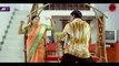 Kacha Badam Vadivel's Version |  Vadivelu | Thalaivar vadivelu version of kacha badam
