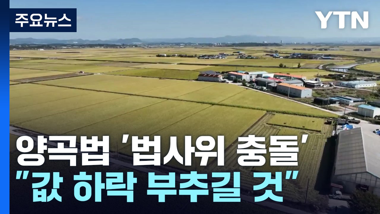 양곡법 '법사위 충돌'...농식품부 "쌀값 하락 부추길 것" / YTN