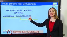 12-Simple Past Tense Negative Sentences - İNGİLİZCE DERSLERİ - TEOG - YDS