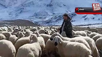 Sivaslı çoban Tarık Kara yanık sesiyle büyüledi