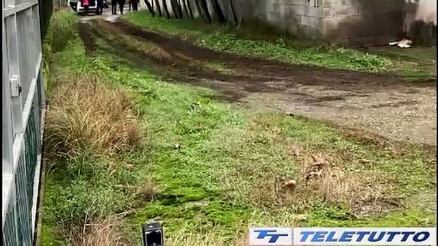 Video News - CADE DAL TETTO, MUORE AGRICOLTORE