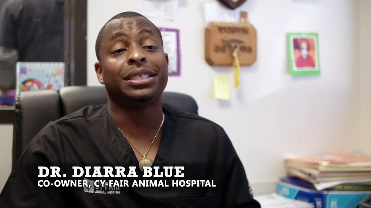 The Vet Life - Se5 - Ep03 HD Watch