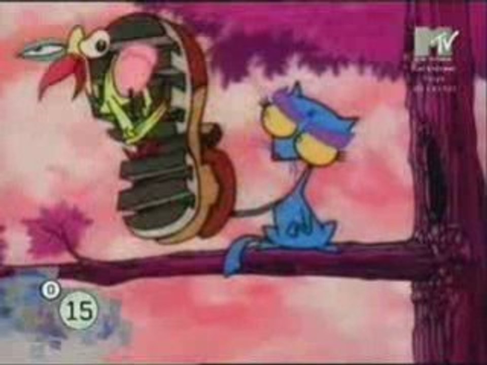 cat and bird
