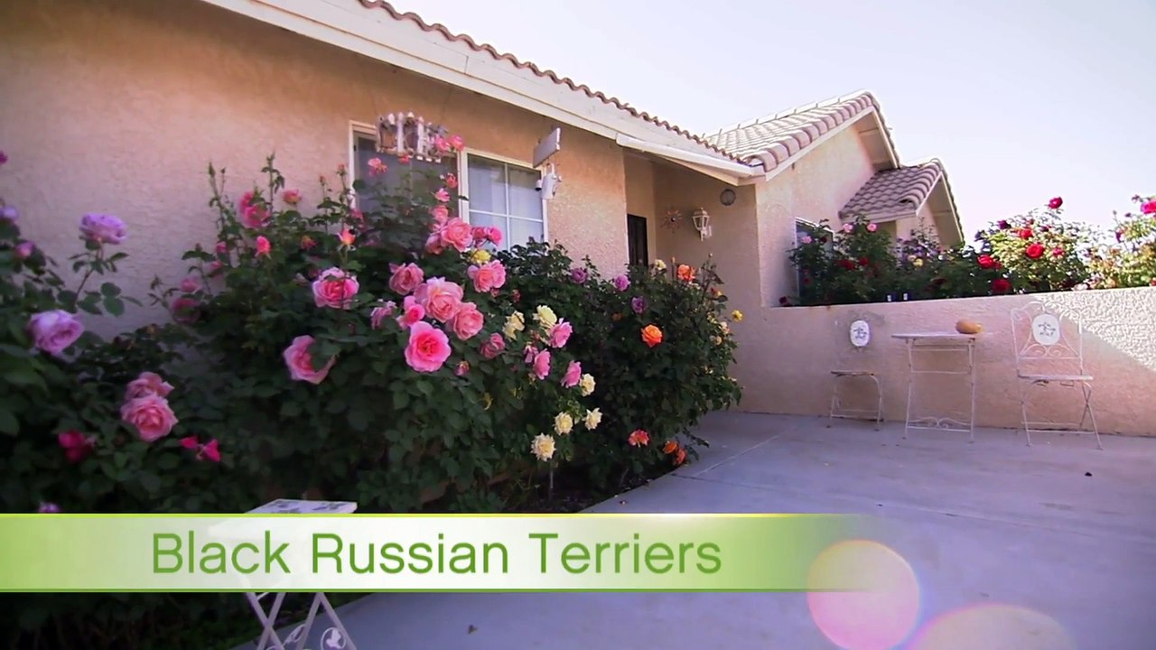 Too Cute! - Ep42 HD Watch