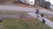 Dobermanns Attack Small Dog Walking With Their Owner on Sidewalk