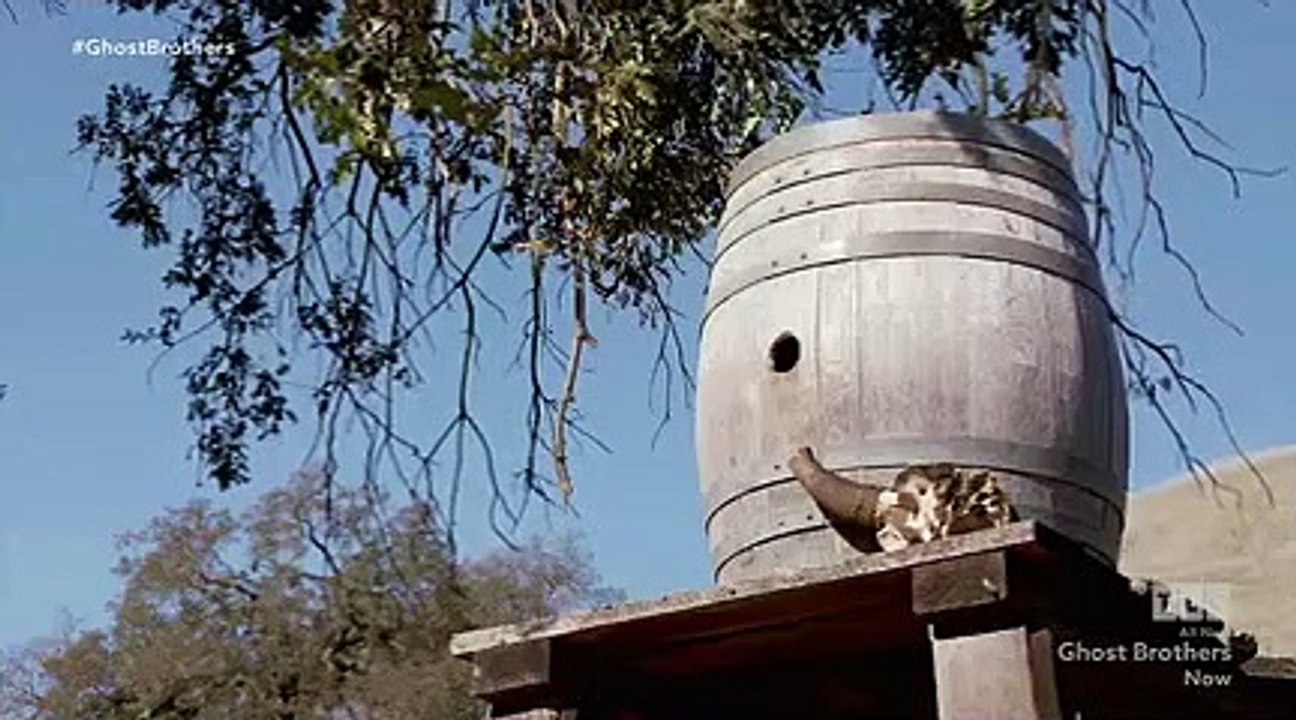 Ghost Brothers - Se2 - Ep03 - Winchester Mystery House HD Watch