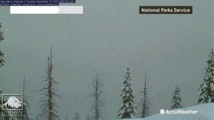 Yosemite's 'Half Dome' cam nearly buried in snow