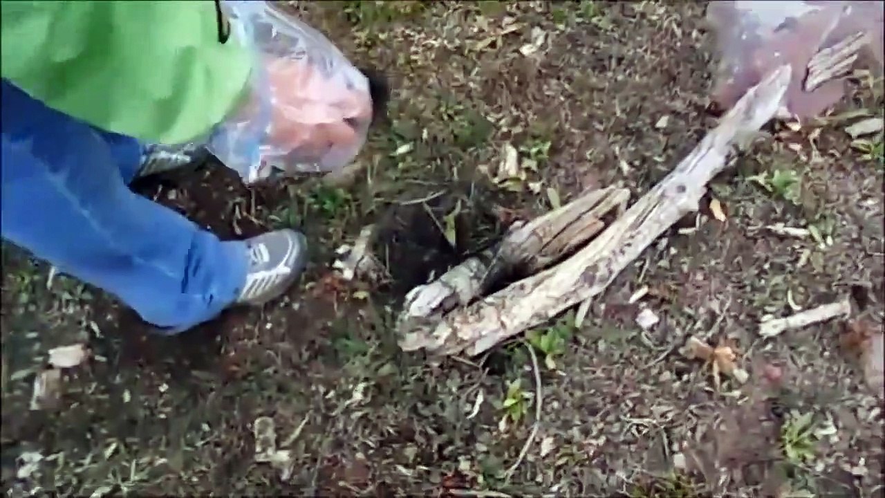 Fright Club - Se1 - Ep01 - Hide Your Kids, Watch the Skies HD Watch