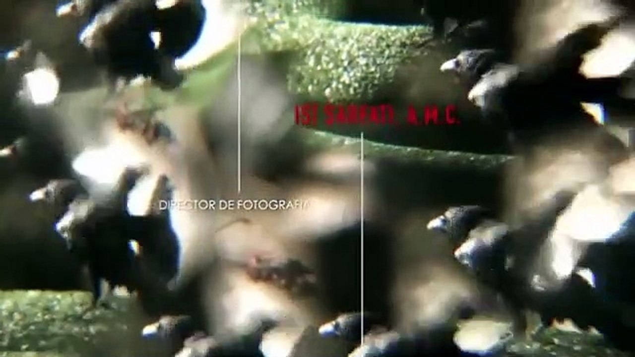 Club de Cuervos - Se1 - Ep06 HD Watch