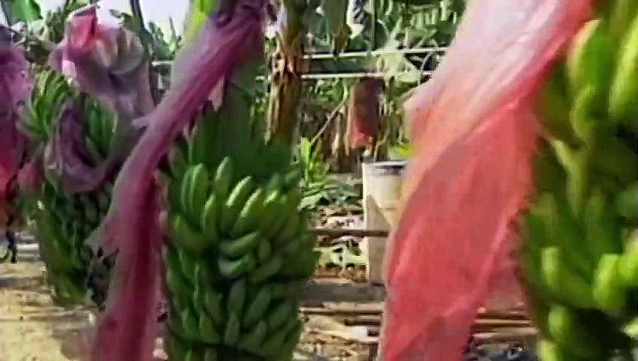 Se-'x, Explained - Se1 - Ep04 HD Watch