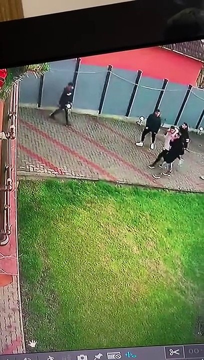 Security Dog Protects His Castle