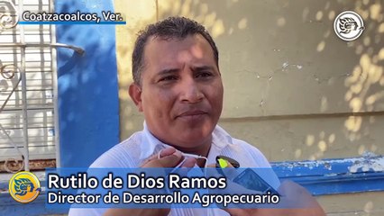 Legalizarán Campamento Tortuguero en Guillermo Prieto