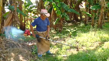 mqn-Con 102 años corta la maleza con moto guadaña y siembra en la finca-160123