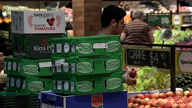 Treasurer Jim Chalmers addresses jobs growth data