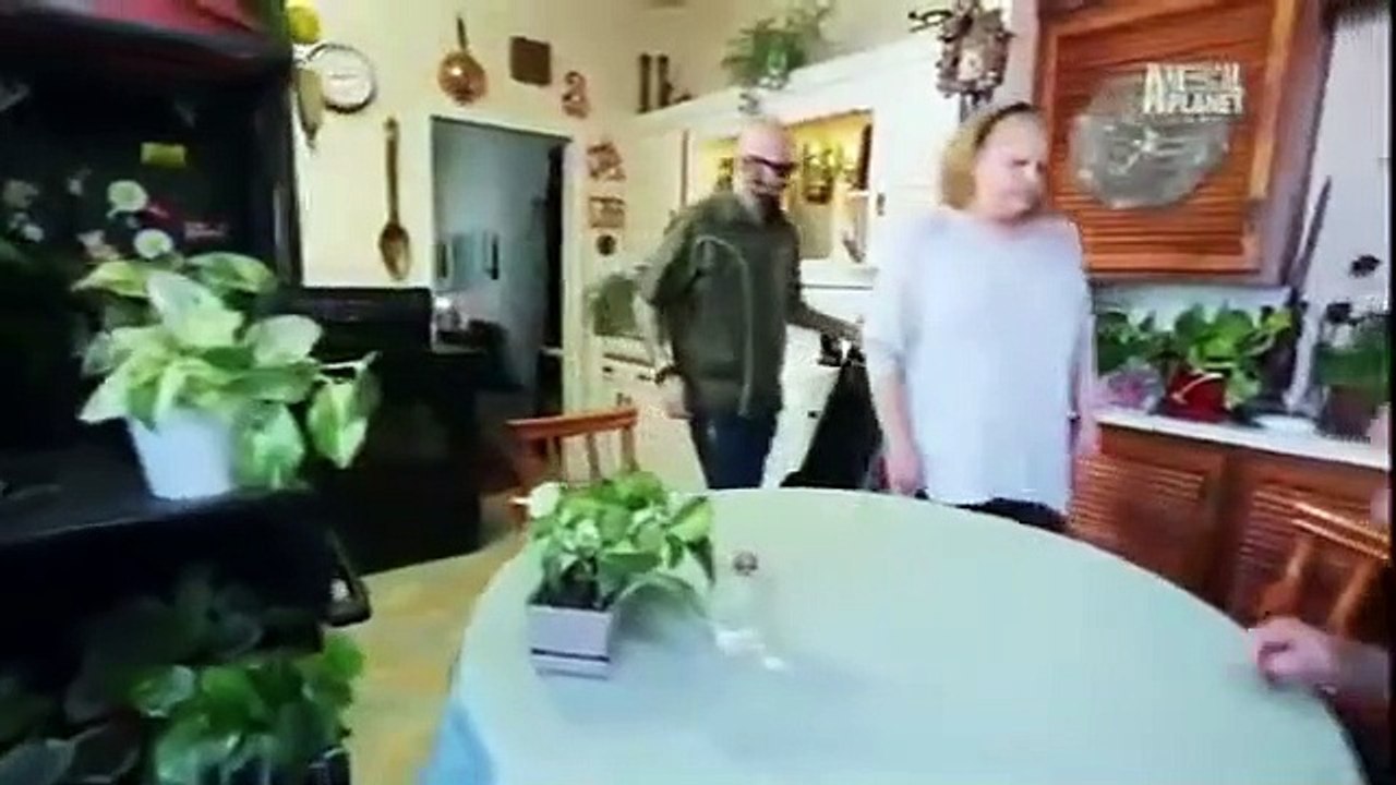 My Cat from Hell - Se5 - Ep12 - Scared to Laugh HD Watch