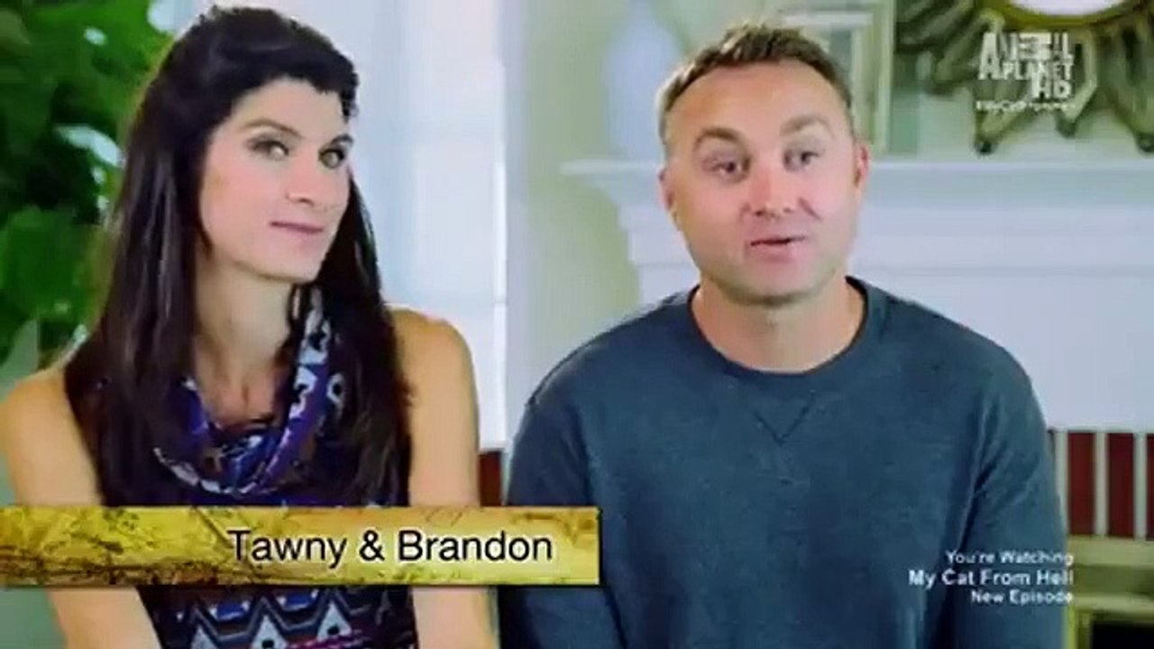 My Cat from Hell - Se5 - Ep02 - Blood Thirsty HD Watch