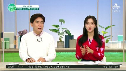 네팔 여객기 추락 전 추정 영상 공개