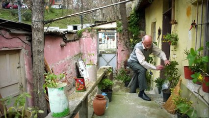 Una Historia De Amor Capitulo 5 completo doblado a español