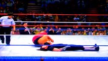 The Undertaker Vs Yokozuna - WWF Global Warfare (1993 )