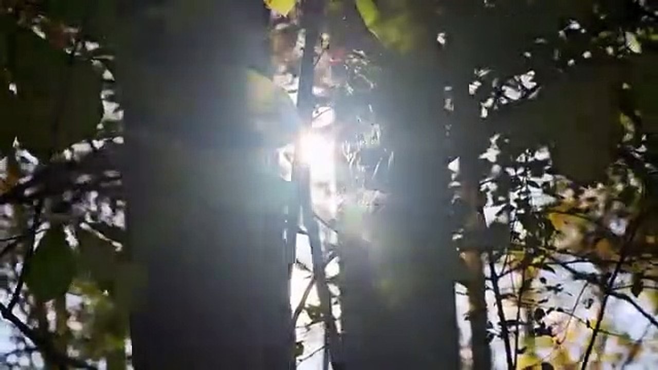 Dead Of Night - Se1 - Ep01 - Back From the Dead HD Watch