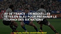 XV de France: Nouveaux visages en bleu pour préparer le tournoi de six nations