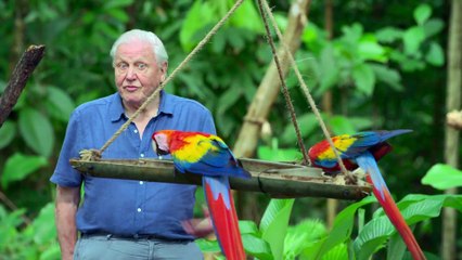 Life in Colour - Se1 - Ep02 HD Watch