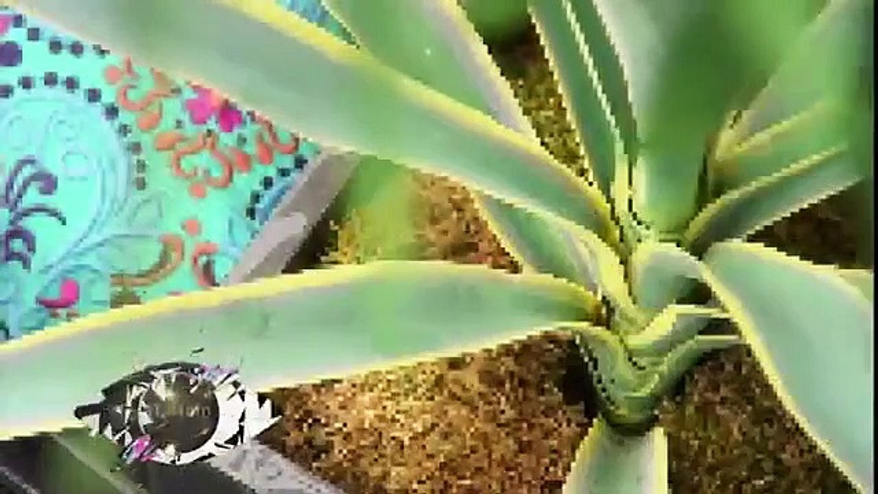 Celebrity Big Brother - Se18 - Ep07 HD Watch