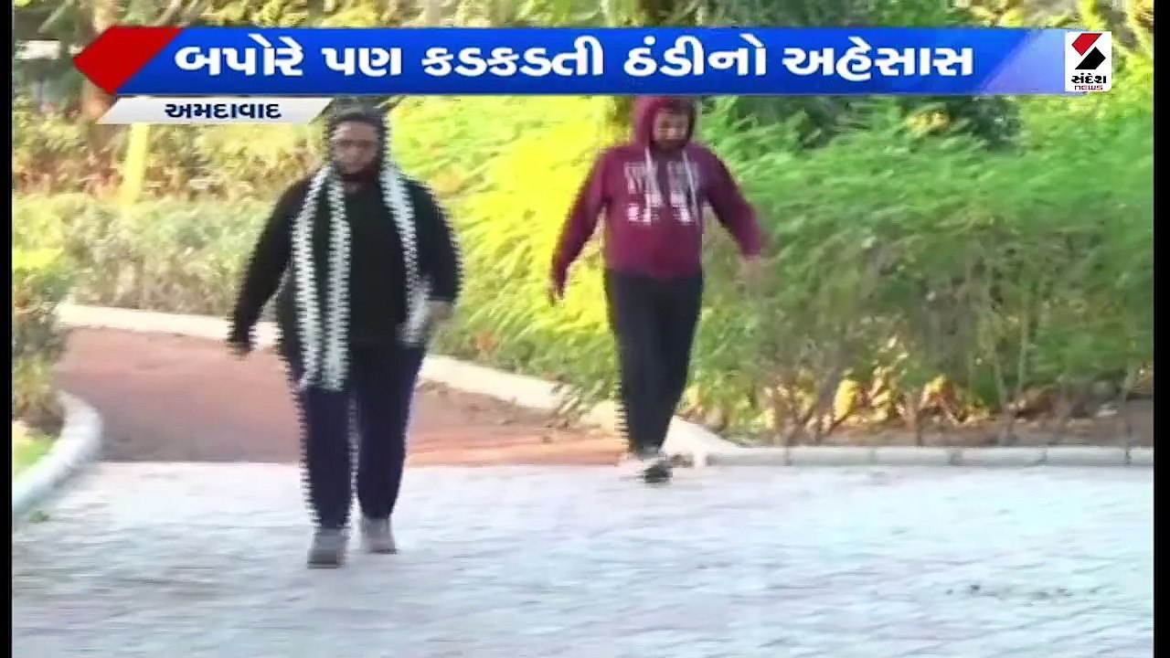 રાજ્યમાં આગામી 48 કલાક રહેશે કોલ્ડવેવની અસર