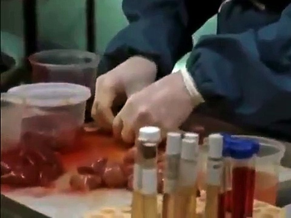 Da Vinci's Inquest - Se2 - Ep01 HD Watch