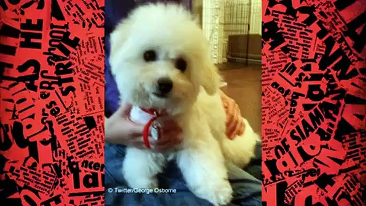 Have I Got News For You - Se46 - Ep09 HD Watch