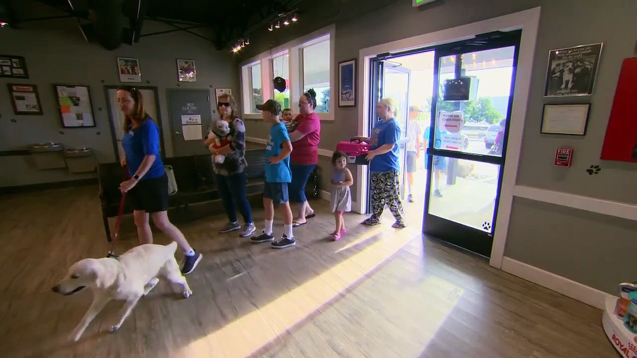 Dr. Jeff - Rocky Mountain Vet - Se7 - Ep03 - Fainting Goat Ranch HD Watch