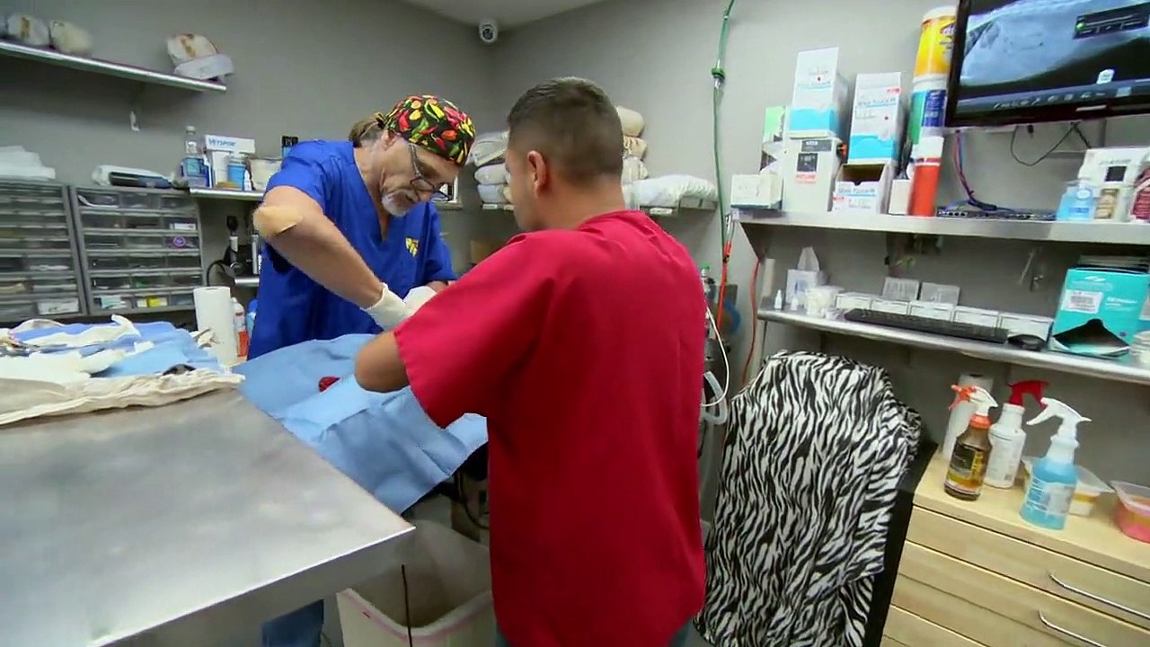 Dr. Jeff - Rocky Mountain Vet - Se7 - Ep12 - Kino's Mystery HD Watch