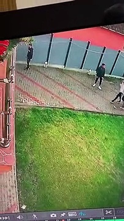 Security Dog Protects His Castle