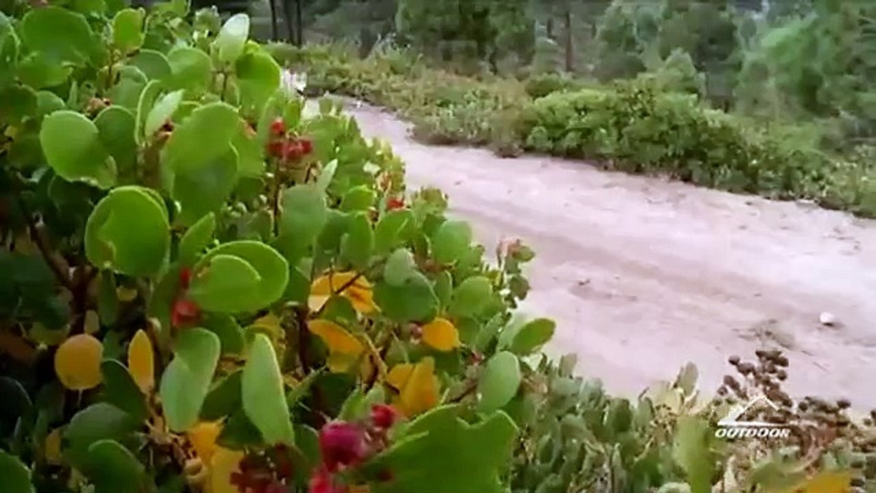 Apex Predator - Se1 - Ep04 HD Watch