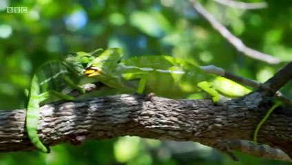 Earth's Tropical Islands - Se1 - Ep01 - Madagascar HD Watch