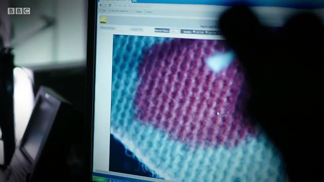 Expert Witness - Se1 - Ep02 Blood Under Paint and Gait HD Watch