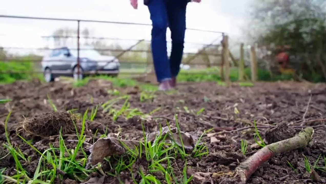 Expert Witness - Se1 - Ep05 Pollen in a Field and Fibres in a Car Crash HD Watch