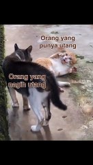 jurus di tagih utang