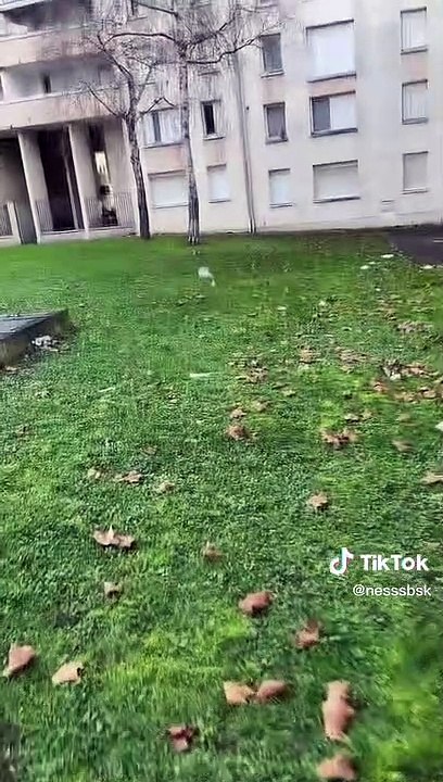 Yvelines - Un bébé de 2 ans échappe à la vigilance d'une personnelle d'une crèche et se retrouve à plusieurs dizaines de mètres