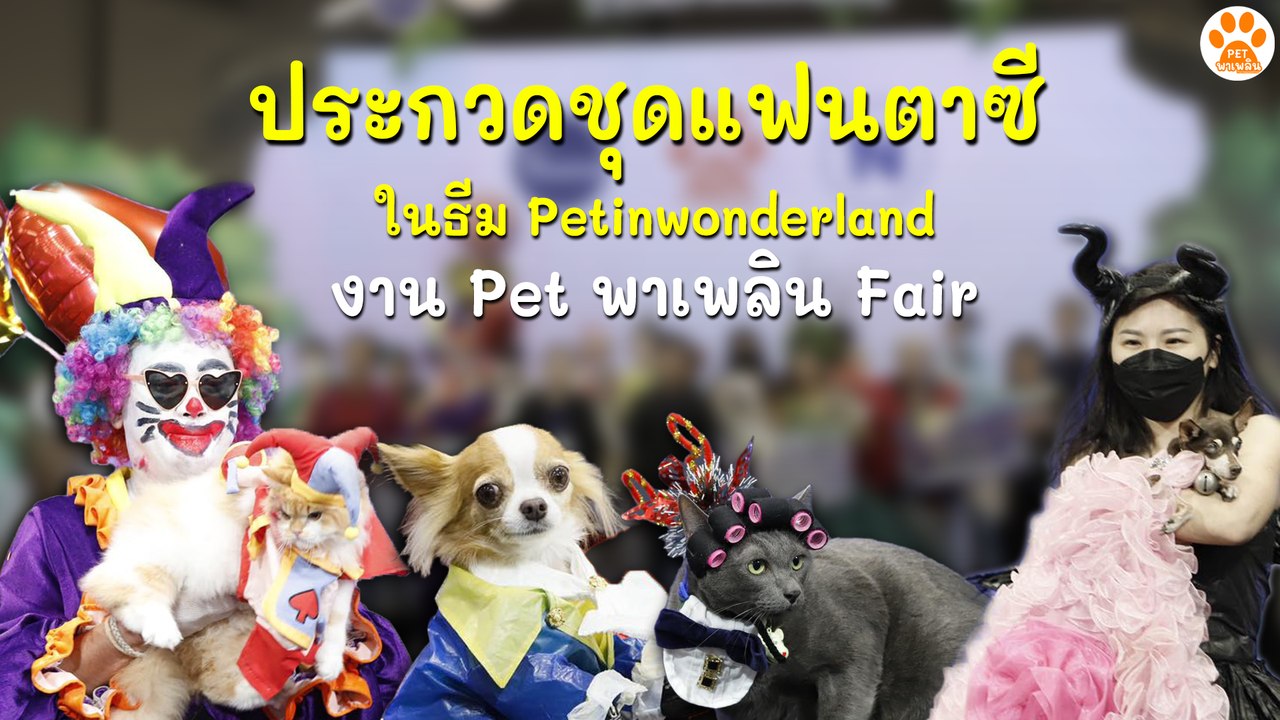 ประกวดชุดแฟนตาซี ในธีม Petinwonderland งาน Pet...