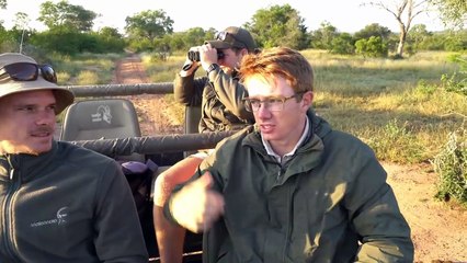Young LIONS from the Sand River PRIDE
