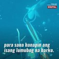 Mangingisdang nag-dive, binulaga ng mga agresibong pating | GMA News Feed
