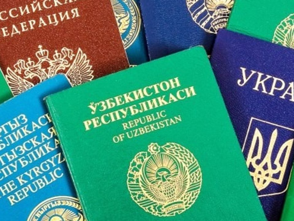 Grasgrün und Co.: Das bedeuten die Farben der Reisepässe