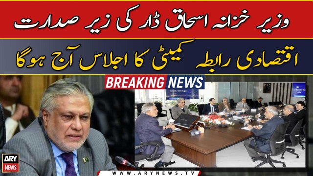 Finance Minister Ishaq Dar to chair ECC meeting today
